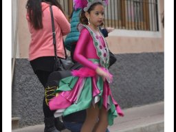 Carnaval de Mula 2014